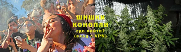 каннабис Богданович