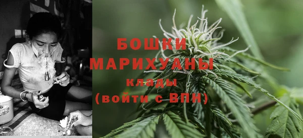 каннабис Богданович