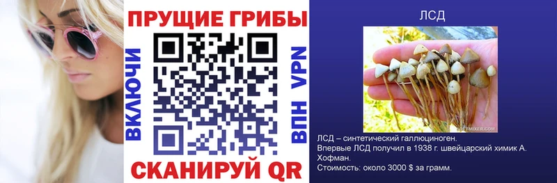 hydra как зайти  Кинешма  Псилоцибиновые грибы MAGIC MUSHROOMS 